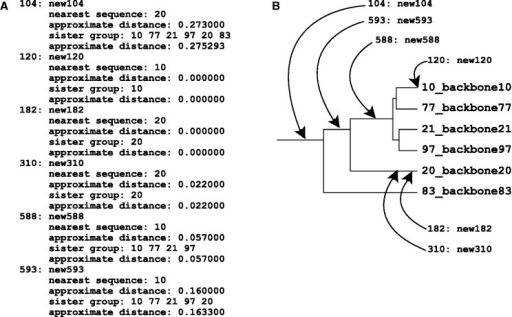 (A) A part of output of the ––treeout option showing the phylogenetic positions of new sequences (new#) in the tree of the existing alignment (backbone#), estimated before the alignment calculation. This file also shows a Newick format tree of the existing alignment (not shown in this figure). For each new sequence, the nearest sequence in the existing alignment (nearest sequence), approximate distance to the nearest sequence (approximate distance), and the members of the sister group (sister group) are shown. (B) Graphical representation of (A).